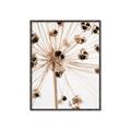Picture of Ethereal Flower _GroupedProduct_Rectangle_Portrait_Photography _GroupedProduct_Rectangle_Portrait_Canvas_Framed_