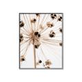 Picture of Ethereal Flower _GroupedProduct_Rectangle_Portrait_Photography _GroupedProduct_Rectangle_Portrait_Canvas_Framed_