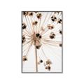 Picture of Ethereal Flower _GroupedProduct_Rectangle_Portrait_Photography _GroupedProduct_Rectangle_Portrait_Canvas_Framed_