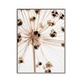 Picture of Ethereal Flower _GroupedProduct_Rectangle_Portrait_Photography _GroupedProduct_Rectangle_Portrait_Canvas_Framed_