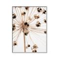 Picture of Ethereal Flower _GroupedProduct_Rectangle_Portrait_Photography _GroupedProduct_Rectangle_Portrait_Canvas_Framed_