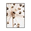 Picture of Ethereal Flower _GroupedProduct_Rectangle_Portrait_Photography _GroupedProduct_Rectangle_Portrait_Canvas_Framed_