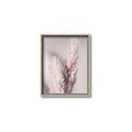 Picture of Enchanted Pampas Grass _GroupedProduct_Rectangle_Portrait_Photography _GroupedProduct_Rectangle_Portrait_Canvas_Framed_