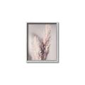 Picture of Enchanted Pampas Grass _GroupedProduct_Rectangle_Portrait_Photography _GroupedProduct_Rectangle_Portrait_Canvas_Framed_