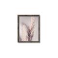 Picture of Enchanted Pampas Grass _GroupedProduct_Rectangle_Portrait_Photography _GroupedProduct_Rectangle_Portrait_Canvas_Framed_