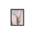 Picture of Enchanted Pampas Grass _GroupedProduct_Rectangle_Portrait_Photography _GroupedProduct_Rectangle_Portrait_Canvas_Framed_