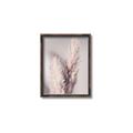 Picture of Enchanted Pampas Grass _GroupedProduct_Rectangle_Portrait_Photography _GroupedProduct_Rectangle_Portrait_Canvas_Framed_