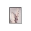 Picture of Enchanted Pampas Grass _GroupedProduct_Rectangle_Portrait_Photography _GroupedProduct_Rectangle_Portrait_Canvas_Framed_