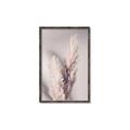 Picture of Enchanted Pampas Grass _GroupedProduct_Rectangle_Portrait_Photography _GroupedProduct_Rectangle_Portrait_Canvas_Framed_