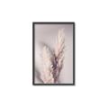 Picture of Enchanted Pampas Grass _GroupedProduct_Rectangle_Portrait_Photography _GroupedProduct_Rectangle_Portrait_Canvas_Framed_