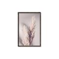 Picture of Enchanted Pampas Grass _GroupedProduct_Rectangle_Portrait_Photography _GroupedProduct_Rectangle_Portrait_Canvas_Framed_