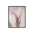 Picture of Enchanted Pampas Grass _GroupedProduct_Rectangle_Portrait_Photography _GroupedProduct_Rectangle_Portrait_Canvas_Framed_