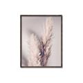 Picture of Enchanted Pampas Grass _GroupedProduct_Rectangle_Portrait_Photography _GroupedProduct_Rectangle_Portrait_Canvas_Framed_