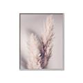 Picture of Enchanted Pampas Grass _GroupedProduct_Rectangle_Portrait_Photography _GroupedProduct_Rectangle_Portrait_Canvas_Framed_