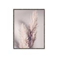 Picture of Enchanted Pampas Grass _GroupedProduct_Rectangle_Portrait_Photography _GroupedProduct_Rectangle_Portrait_Canvas_Framed_