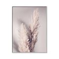 Picture of Enchanted Pampas Grass _GroupedProduct_Rectangle_Portrait_Photography _GroupedProduct_Rectangle_Portrait_Canvas_Framed_