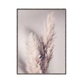 Picture of Enchanted Pampas Grass _GroupedProduct_Rectangle_Portrait_Photography _GroupedProduct_Rectangle_Portrait_Canvas_Framed_