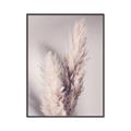 Picture of Enchanted Pampas Grass _GroupedProduct_Rectangle_Portrait_Photography _GroupedProduct_Rectangle_Portrait_Canvas_Framed_
