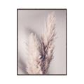 Picture of Enchanted Pampas Grass _GroupedProduct_Rectangle_Portrait_Photography _GroupedProduct_Rectangle_Portrait_Canvas_Framed_