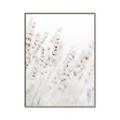 Picture of Grass straws _GroupedProduct_Rectangle_Portrait_Photography _GroupedProduct_Rectangle_Portrait_Canvas_Framed_