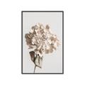 Picture of Lullaby of a Beige Flower _GroupedProduct_Rectangle_Portrait_Photography _GroupedProduct_Rectangle_Portrait_Canvas_Framed_