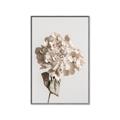 Picture of Lullaby of a Beige Flower _GroupedProduct_Rectangle_Portrait_Photography _GroupedProduct_Rectangle_Portrait_Canvas_Framed_