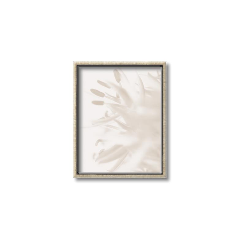 Picture of An Echo of Leaves _GroupedProduct_Rectangle_Portrait_Photography _GroupedProduct_Rectangle_Portrait_Canvas_Framed_