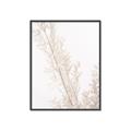 Picture of Earthy Flora Straws _GroupedProduct_Rectangle_Portrait_Photography _GroupedProduct_Rectangle_Portrait_Canvas_Framed_