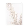Picture of Earthy Flora Straws _GroupedProduct_Rectangle_Portrait_Photography _GroupedProduct_Rectangle_Portrait_Canvas_Framed_
