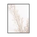 Picture of Earthy Flora Straws _GroupedProduct_Rectangle_Portrait_Photography _GroupedProduct_Rectangle_Portrait_Canvas_Framed_