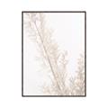 Picture of Earthy Flora Straws _GroupedProduct_Rectangle_Portrait_Photography _GroupedProduct_Rectangle_Portrait_Canvas_Framed_