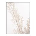 Picture of Earthy Flora Straws _GroupedProduct_Rectangle_Portrait_Photography _GroupedProduct_Rectangle_Portrait_Canvas_Framed_