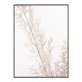 Picture of Earthy Flora Straws _GroupedProduct_Rectangle_Portrait_Photography _GroupedProduct_Rectangle_Portrait_Canvas_Framed_