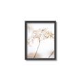 Picture of Desert Bloom Elegance _GroupedProduct_Rectangle_Portrait_Photography _GroupedProduct_Rectangle_Portrait_Canvas_Framed_