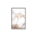 Picture of Desert Bloom Elegance _GroupedProduct_Rectangle_Portrait_Photography _GroupedProduct_Rectangle_Portrait_Canvas_Framed_