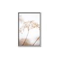 Picture of Desert Bloom Elegance _GroupedProduct_Rectangle_Portrait_Photography _GroupedProduct_Rectangle_Portrait_Canvas_Framed_