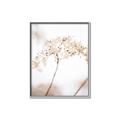 Picture of Desert Bloom Elegance _GroupedProduct_Rectangle_Portrait_Photography _GroupedProduct_Rectangle_Portrait_Canvas_Framed_