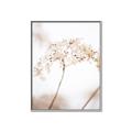 Picture of Desert Bloom Elegance _GroupedProduct_Rectangle_Portrait_Photography _GroupedProduct_Rectangle_Portrait_Canvas_Framed_