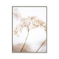 Picture of Desert Bloom Elegance _GroupedProduct_Rectangle_Portrait_Photography _GroupedProduct_Rectangle_Portrait_Canvas_Framed_