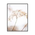 Picture of Desert Bloom Elegance _GroupedProduct_Rectangle_Portrait_Photography _GroupedProduct_Rectangle_Portrait_Canvas_Framed_