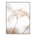 Picture of Desert Bloom Elegance _GroupedProduct_Rectangle_Portrait_Photography _GroupedProduct_Rectangle_Portrait_Canvas_Framed_