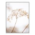 Picture of Desert Bloom Elegance _GroupedProduct_Rectangle_Portrait_Photography _GroupedProduct_Rectangle_Portrait_Canvas_Framed_