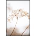 Picture of Desert Bloom Elegance _GroupedProduct_Rectangle_Portrait_Photography _GroupedProduct_Rectangle_Portrait_Canvas_Framed_
