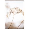 Picture of Desert Bloom Elegance _GroupedProduct_Rectangle_Portrait_Photography _GroupedProduct_Rectangle_Portrait_Canvas_Framed_