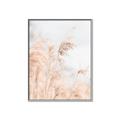 Picture of Neutral Bloom Reeds _GroupedProduct_Rectangle_Portrait_Photography _GroupedProduct_Rectangle_Portrait_Canvas_Framed_