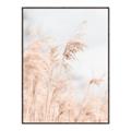 Picture of Neutral Bloom Reeds _GroupedProduct_Rectangle_Portrait_Photography _GroupedProduct_Rectangle_Portrait_Canvas_Framed_