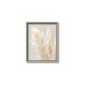 Picture of Creamy Petal Pampas I _GroupedProduct_Rectangle_Portrait_Photography _GroupedProduct_Rectangle_Portrait_Canvas_Framed_