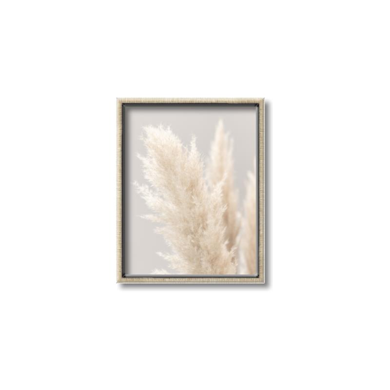 Picture of Creamy Petal Pampas I _GroupedProduct_Rectangle_Portrait_Photography _GroupedProduct_Rectangle_Portrait_Canvas_Framed_