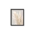 Picture of Creamy Petal Pampas I _GroupedProduct_Rectangle_Portrait_Photography _GroupedProduct_Rectangle_Portrait_Canvas_Framed_