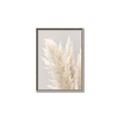 Picture of Creamy Petal Pampas I _GroupedProduct_Rectangle_Portrait_Photography _GroupedProduct_Rectangle_Portrait_Canvas_Framed_